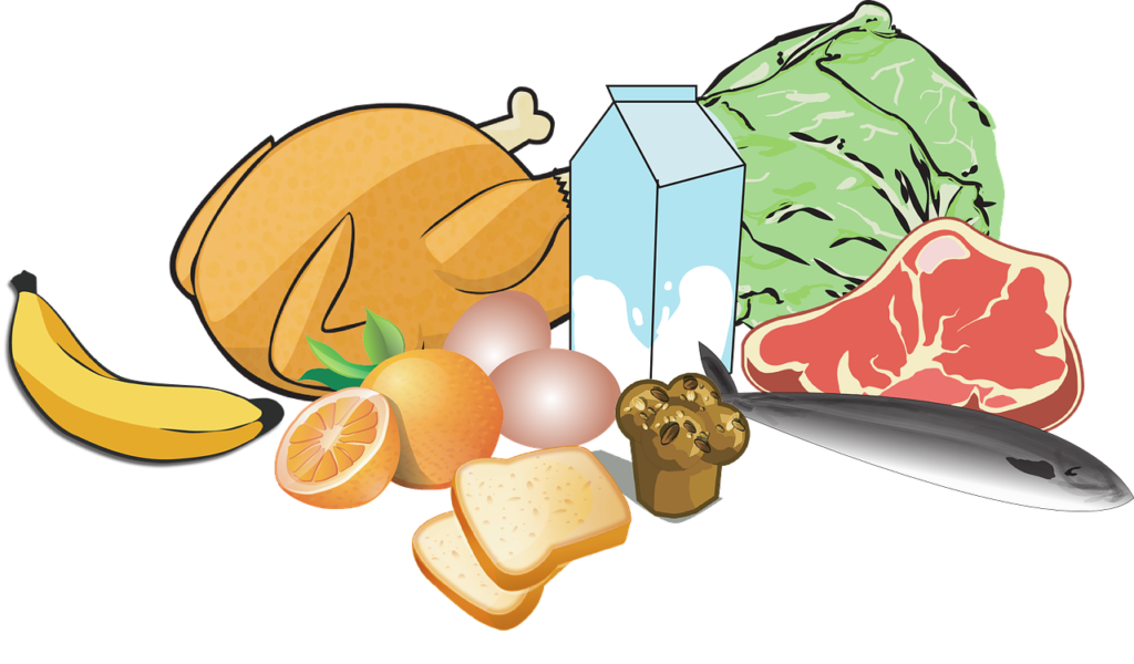 Comment garantir le droit à l’alimentation