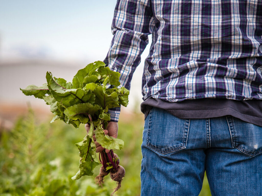 Pesticides et santé : les agriculteurs ont été, sont et seront les principales victimes de ces substances