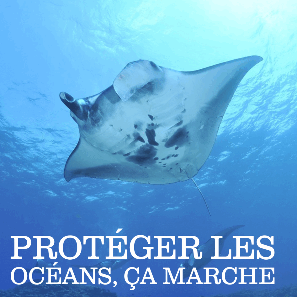 Protéger les océans, ça marche
