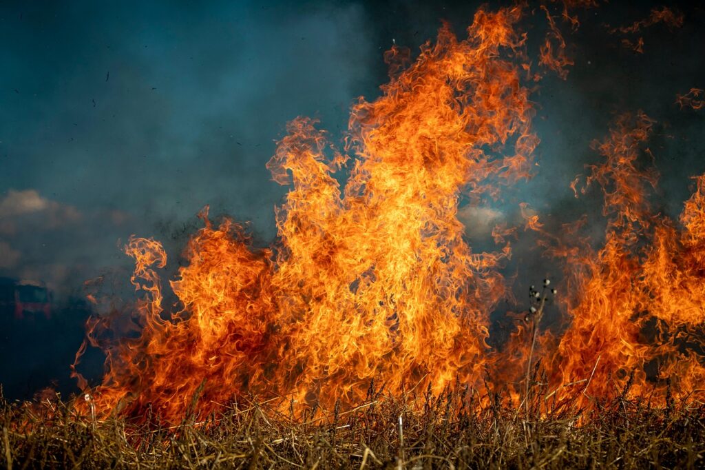 Ces flammes, révélatrices des modifications climatiques et de l’austérité