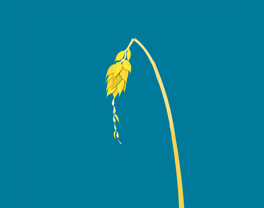 Guerre au Moyen-Orient : vers une nouvelle crise alimentaire ?